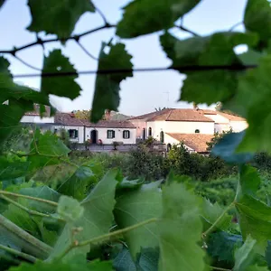 https://casa-vacanze-etna-piedimonte-etneo.sicilyhotelsitaly.net